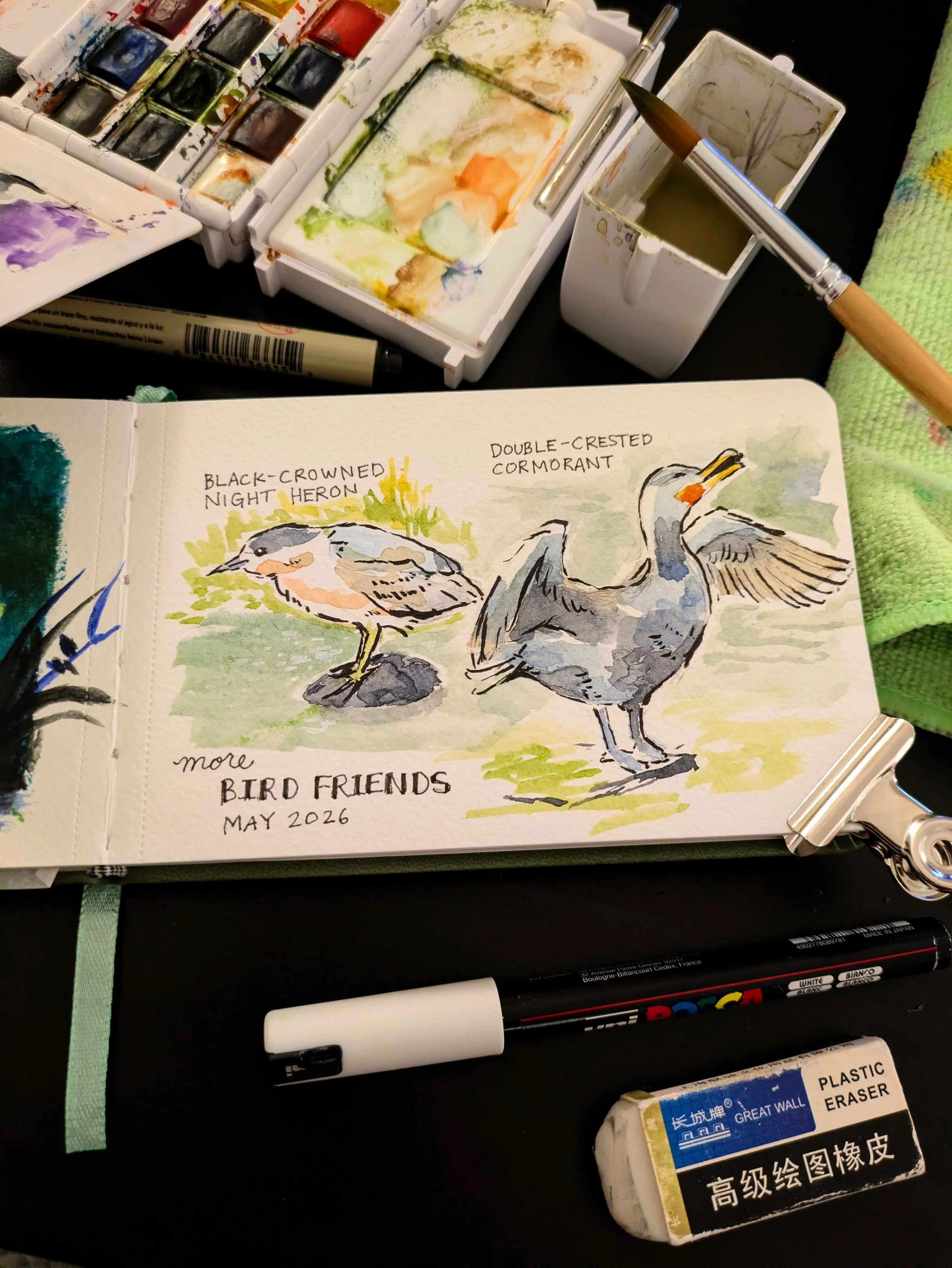 Watercolor sketch of a black-crowned night heron and double-crested cormorant in a sketchbook