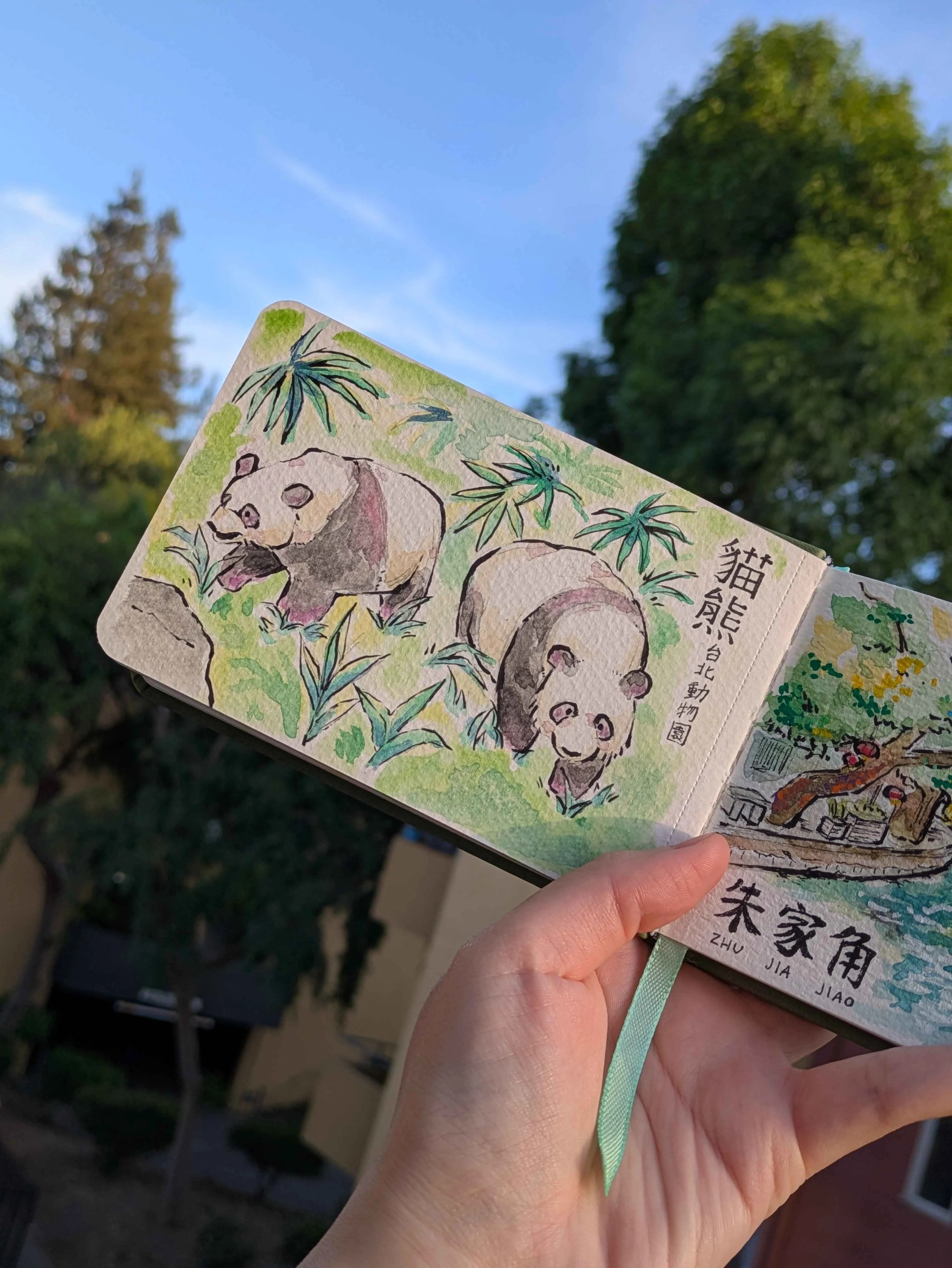 Watercolor sketch of pandas in a sketchbook held outdoors